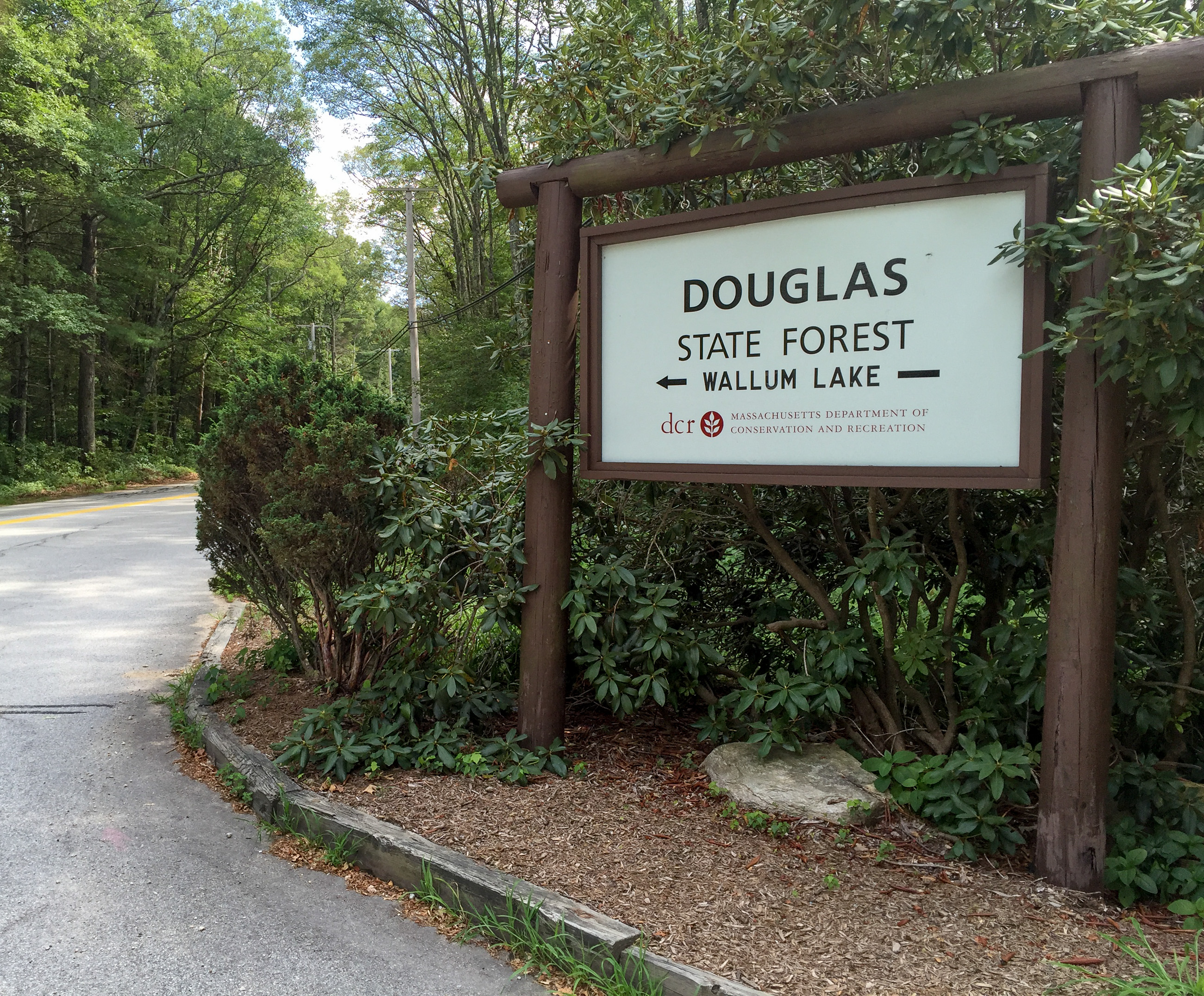 Photo of Douglas State Forest