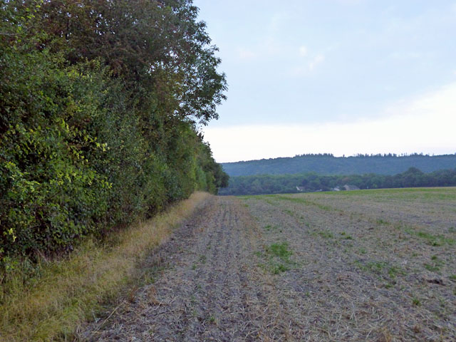 File:Field edge by old railway line - geograph.org.uk - 4176424.jpg