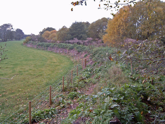 File:Flood protection on the Muckle Burn - geograph.org.uk - 264629.jpg