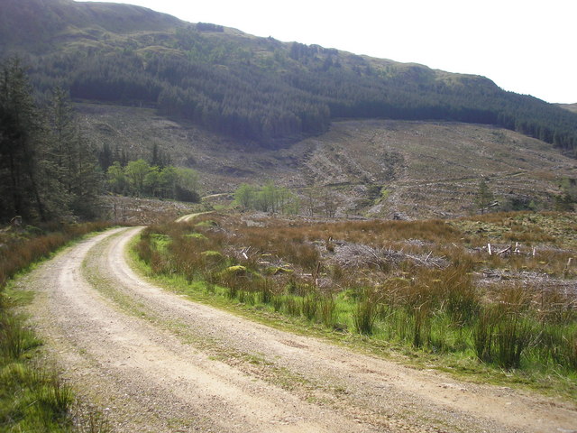 File:Forest Track - geograph.org.uk - 418132.jpg