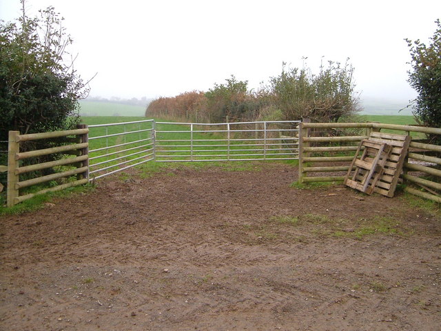 File:Gates and hedges near Little Pethill - geograph.org.uk - 270184.jpg