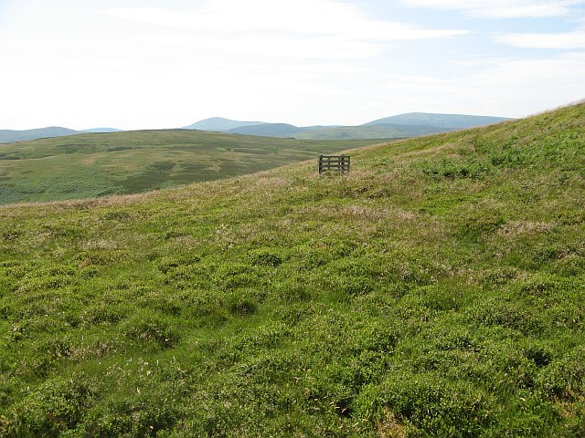 Grouse butt, Yeavering Bell - geograph.org.uk - 1386080