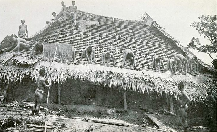 File:Igbo palm thatch.jpg