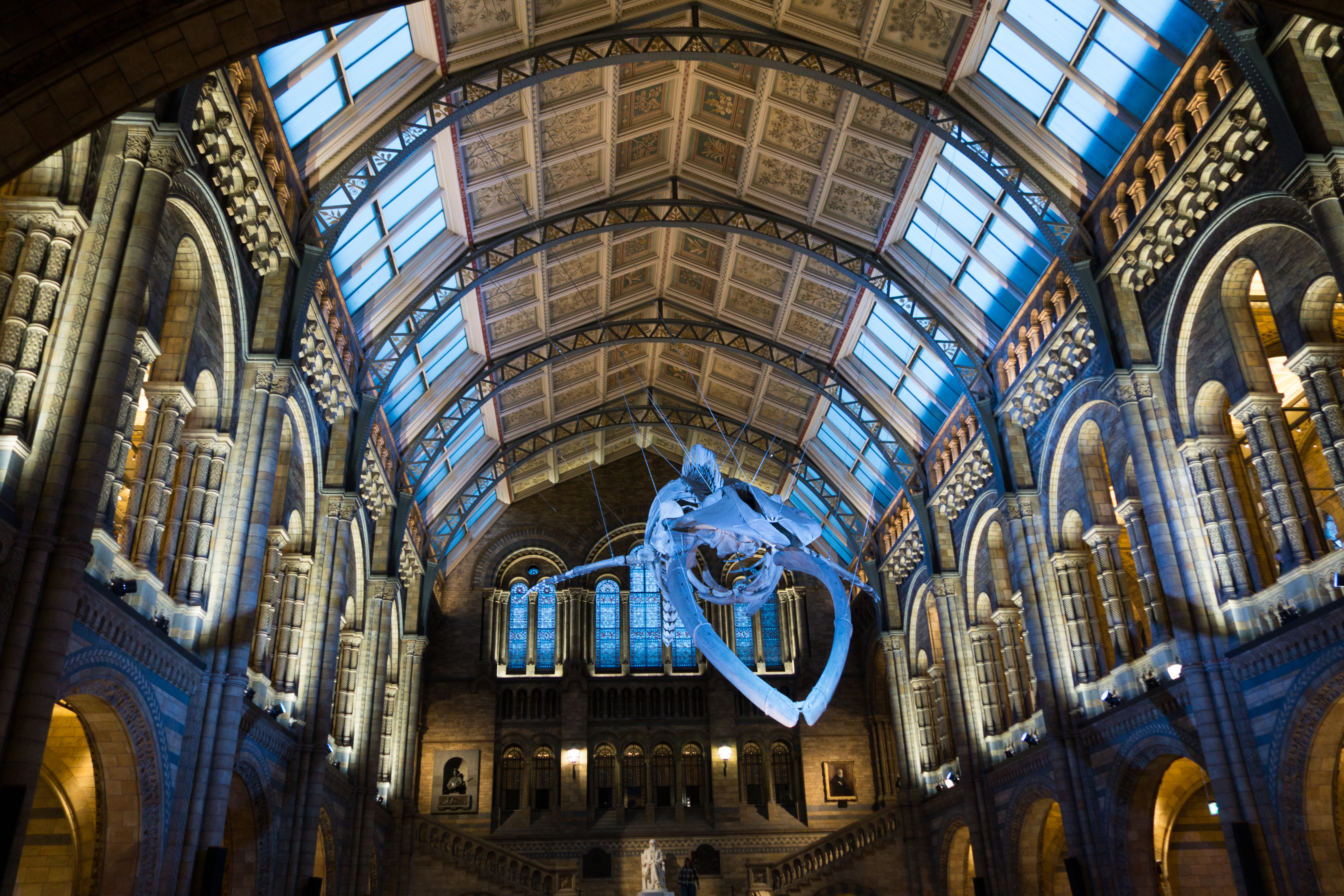 natural history museum london interior