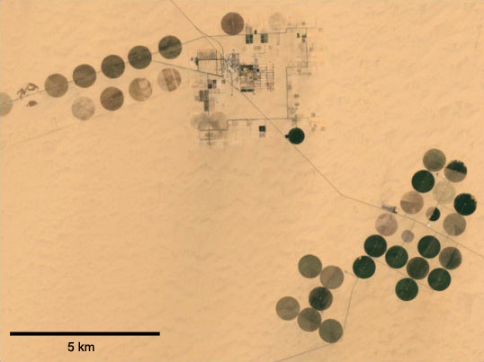 File:Irrigation in the Heart of the Sahara.jpg