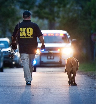 File:K-9 FBI agent of the Evidence Response Team.jpg