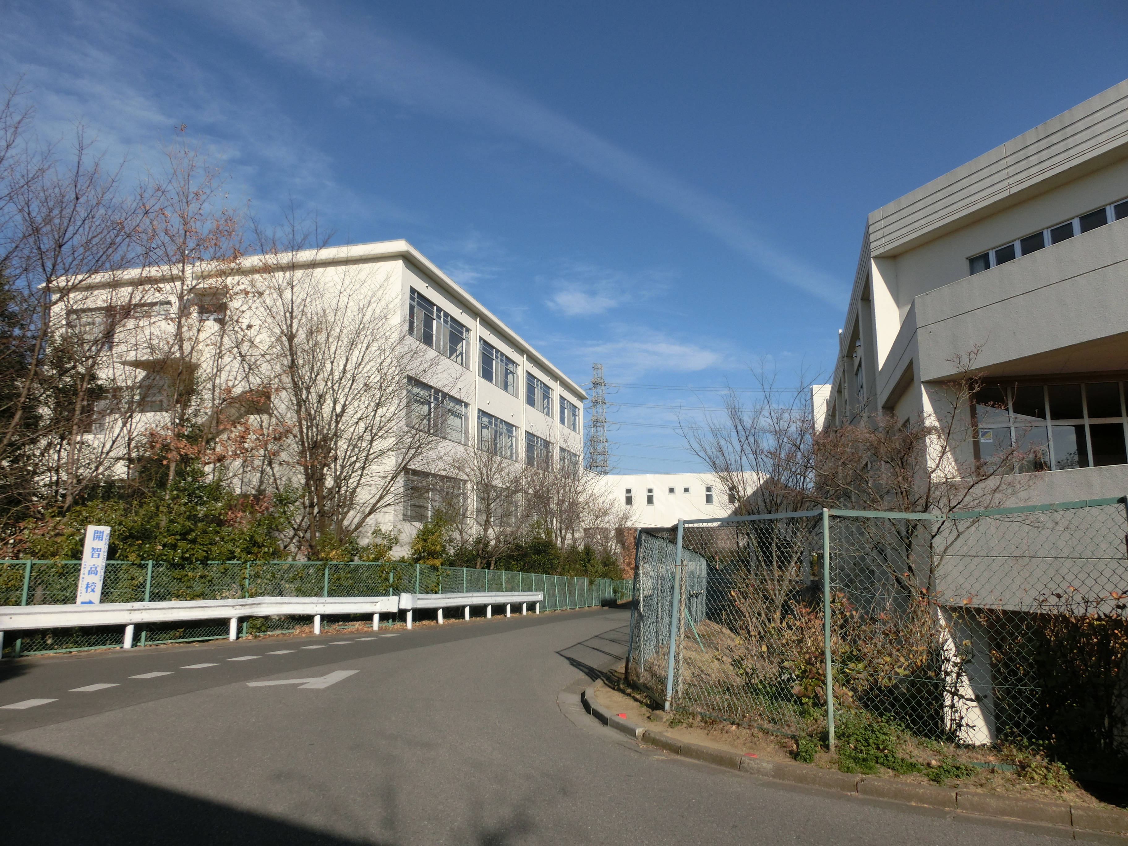 開智小学校 中学校 高等学校 埼玉県 Wikipedia