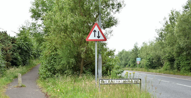 File:Landscaping, Comber bypass (June 2017) - geograph.org.uk - 5435856.jpg