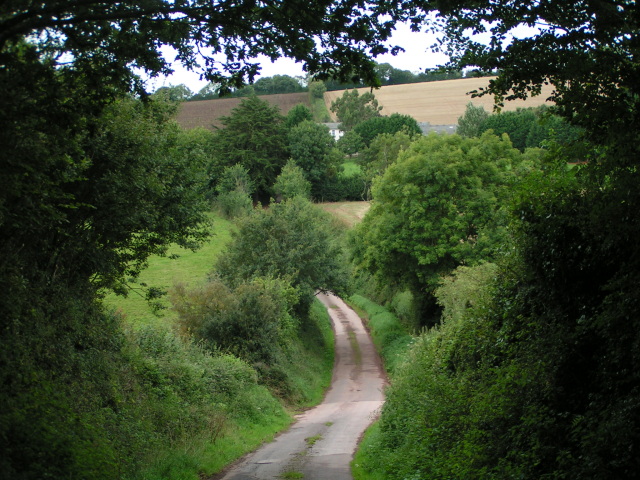 File:Lane north to Coombe Barton farm, just visible through the trees - geograph.org.uk - 1467481.jpg