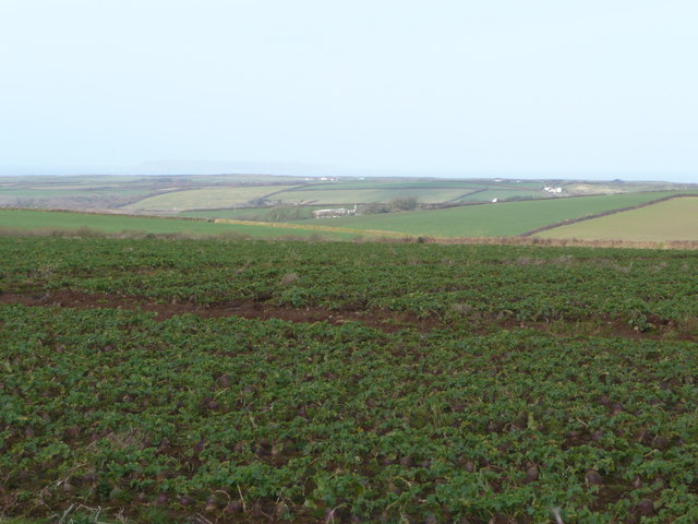 File:Lundy View - geograph.org.uk - 698442.jpg