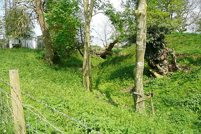 File:Motte at Woodgarston Farm, Upper Wootton, Hampshire.jpg