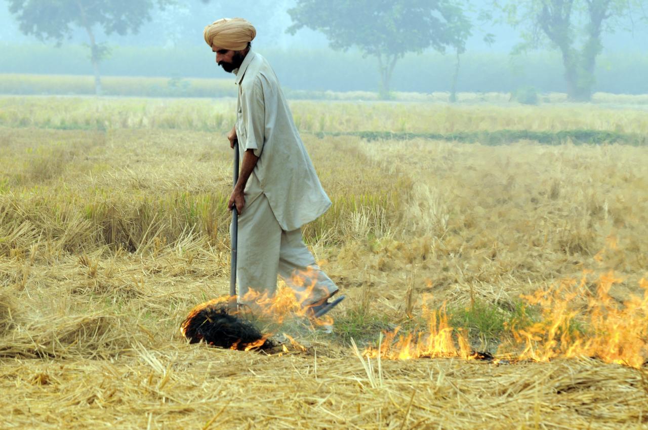 Burning of rice residues in states like Punjab is one of the biggest causes of air pollution in North India