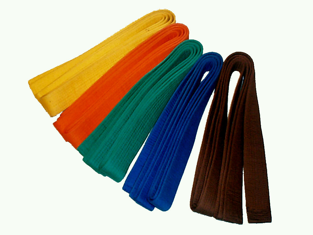 karate belts colours in order