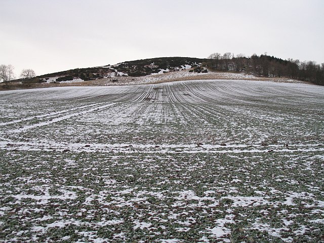 File:Oilseed rape below Balmeadow Hill - geograph.org.uk - 1153753.jpg