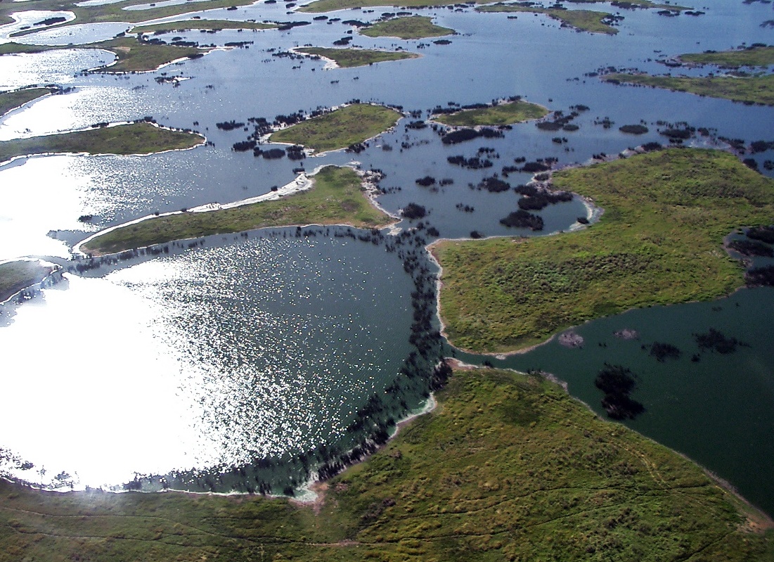湿地 Wikipedia