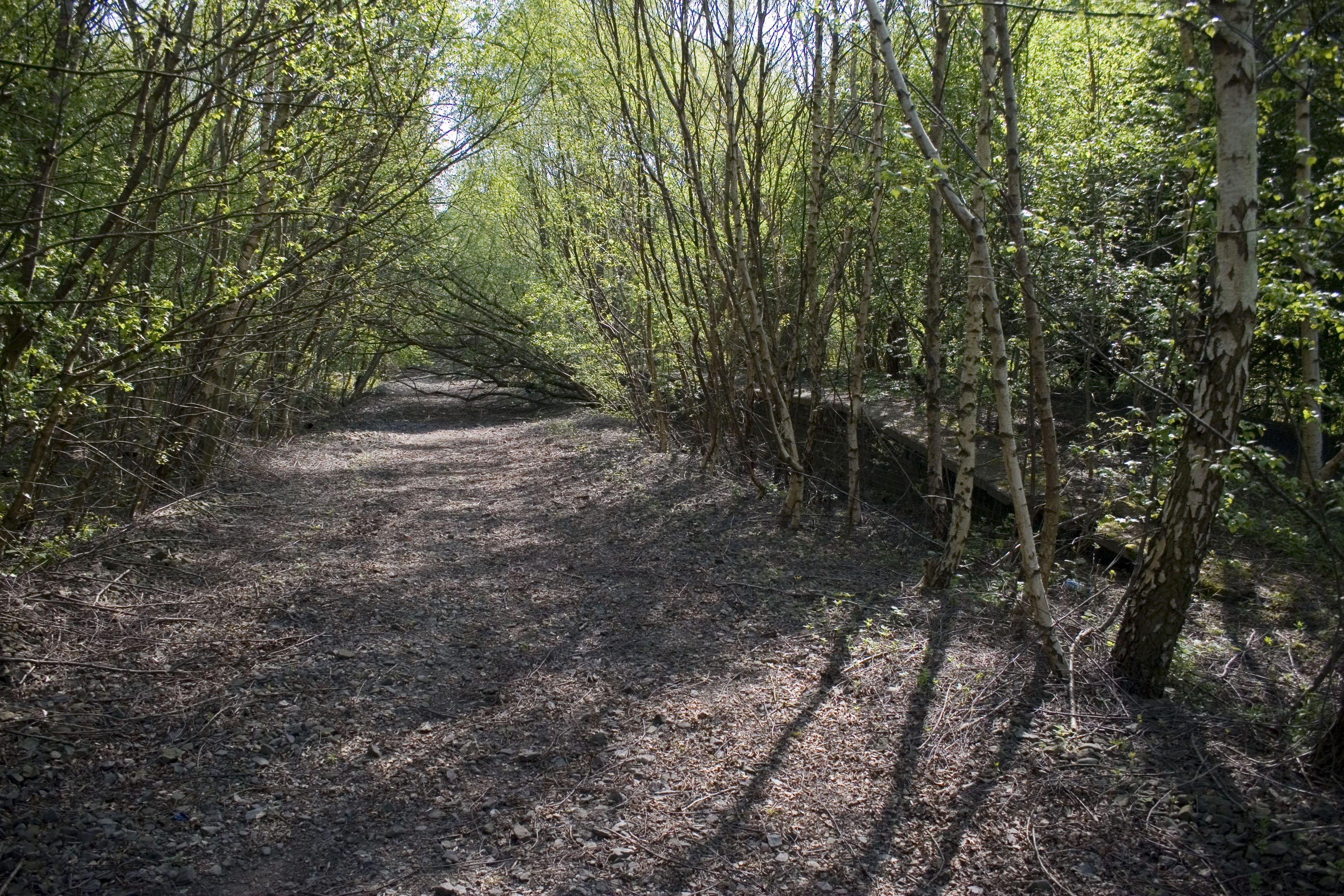 Partington railway station