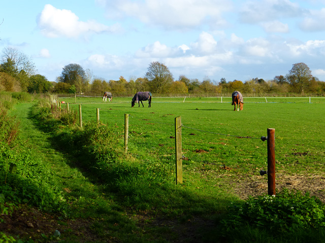 Pasture, Burbage - geograph.org.uk - 4373291