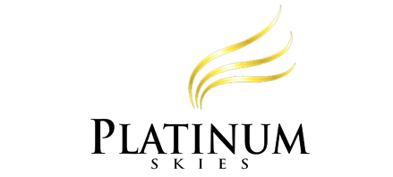 File:Platinum Skies.png