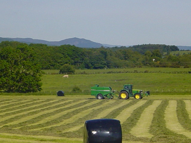 File:Rhynie Farm - geograph.org.uk - 275843.jpg