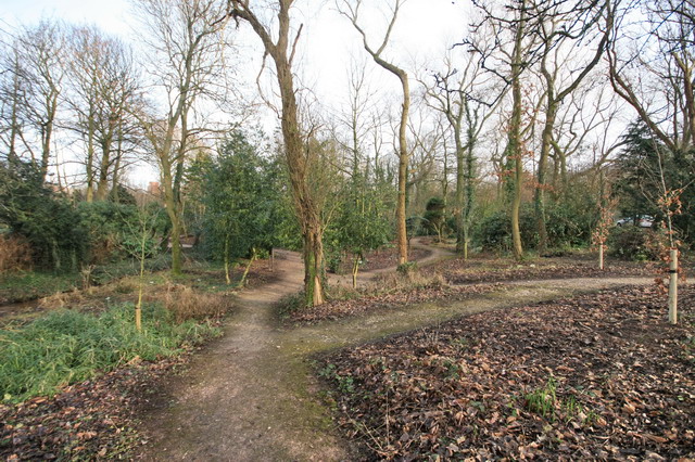 File:Salisbury Woodland Gardens - geograph.org.uk - 1155713.jpg