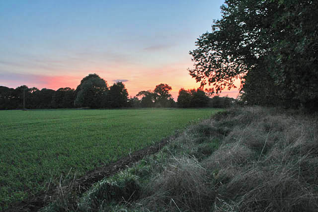 File:Sunset over Syston Park - geograph.org.uk - 255312.jpg