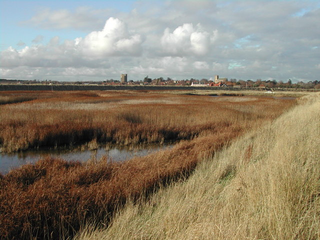 File:The Airfield Marsh reedbed on Orford Ness - geograph.org.uk - 365595.jpg