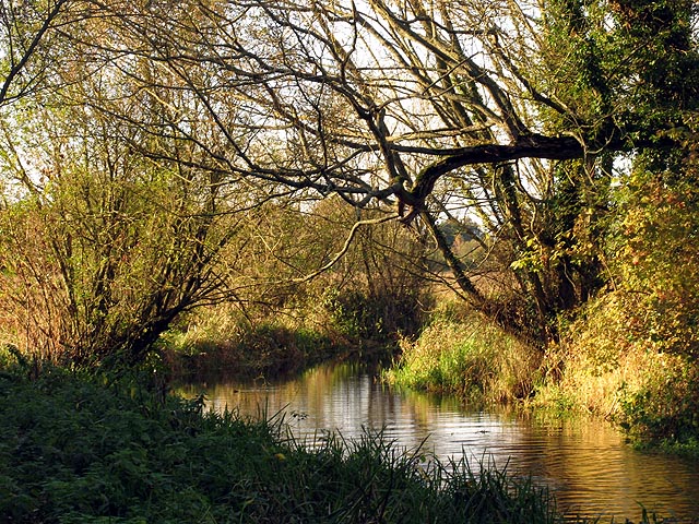 File:The Lambourn River at Elton Farm - geograph.org.uk - 74103.jpg