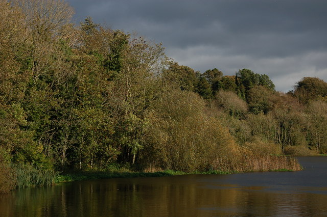 File:The Quoile Pondage near Downpatrick (3) - geograph.org.uk - 269851.jpg