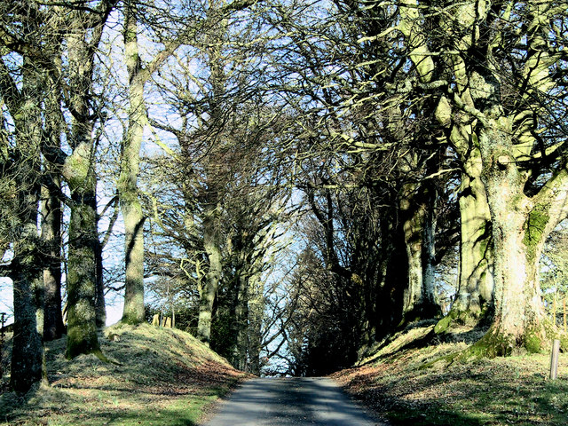 File:The approach to Kilbryde Castle - geograph.org.uk - 254152.jpg