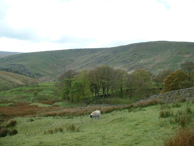 Trough of Bowland - geograph.org.uk - 69044