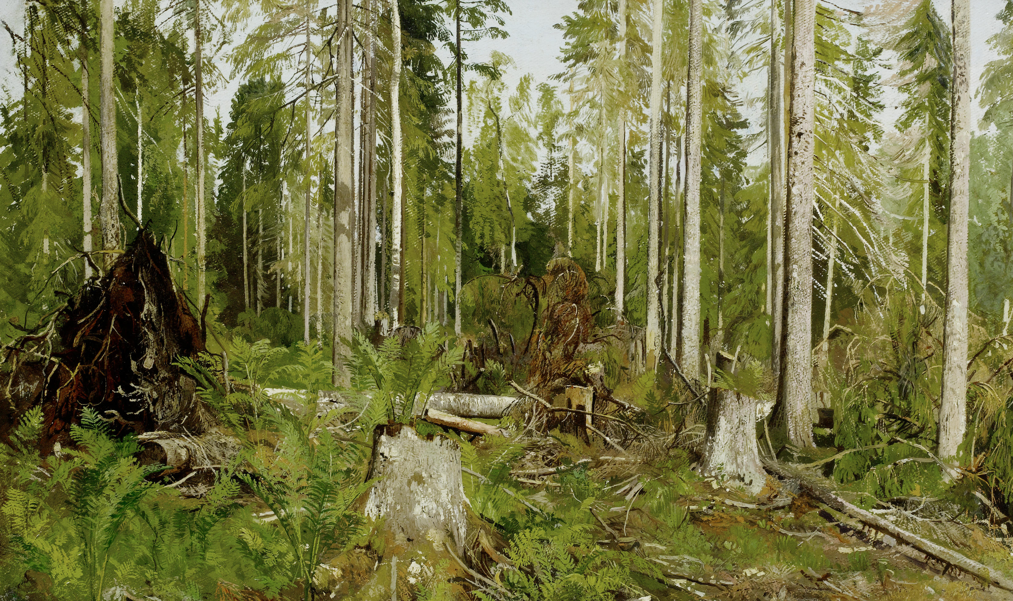 Ивана шишкина сосновый лес 1889. Шишкин Сосновый лес 1885.