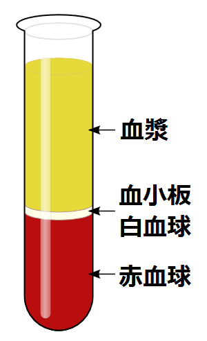 File 血液の遠心分離 イラスト Png Wikimedia Commons