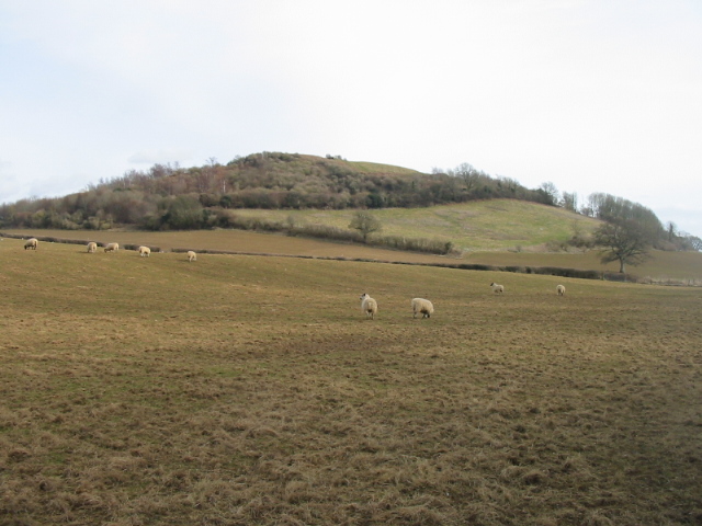 Allington Hill - geograph.org.uk - 131092