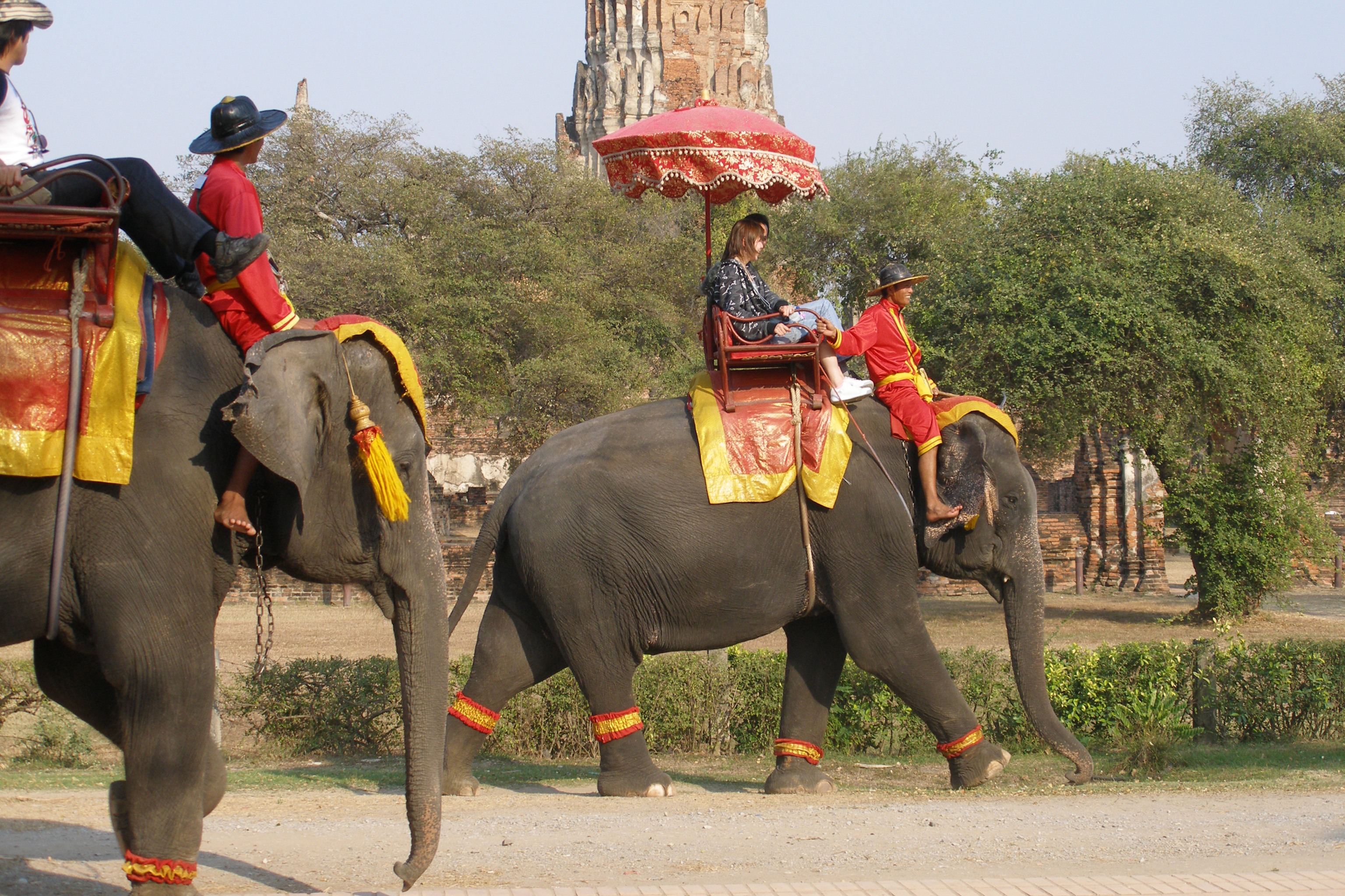 Why Thailand loves elephants?