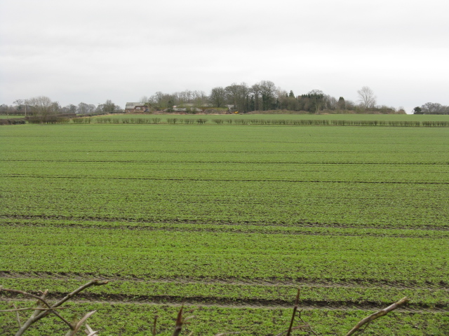 Bollin Valley Fields - geograph.org.uk - 1184537