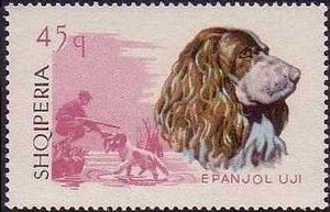 File:Cocker-Spaniel Albania stamp.jpg