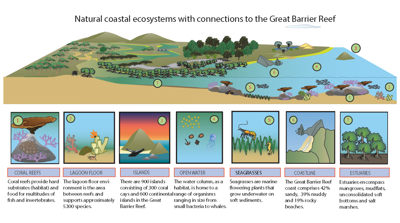 Conceptual diagram of marine coastal ecosystems.png