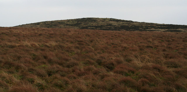 File:Crigdon Hill - geograph.org.uk - 1097996.jpg