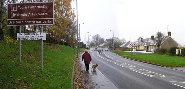 File:Dog walking, Hospital Road, Omagh - geograph.org.uk - 1048920.jpg