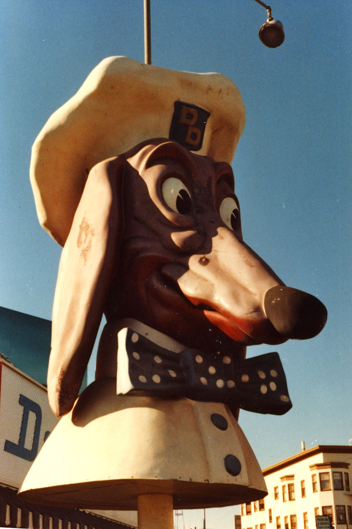 Median section of a dog head