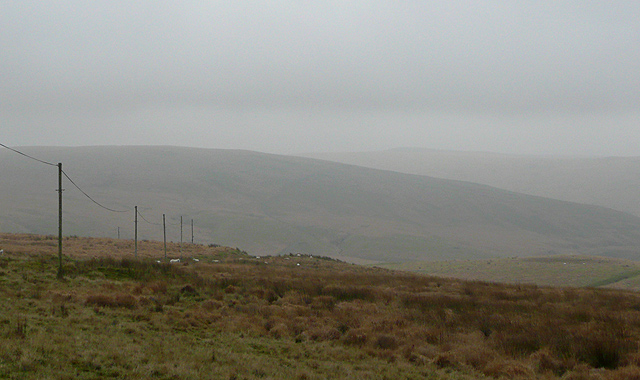 File:Elenydd landscape on Esgair Ffrwd, Ceredigion - geograph.org.uk - 1062134.jpg