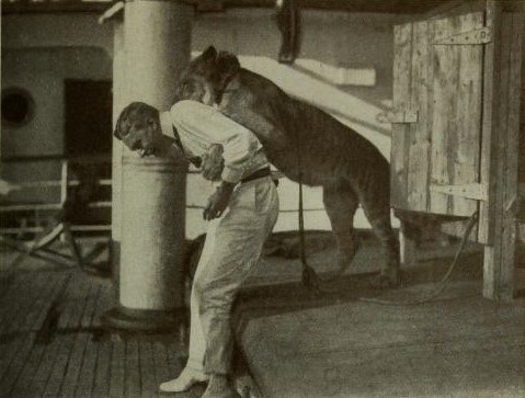 File:Ernst M. Heims and Simba on the voyage to Europe.jpg