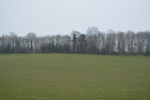 File:Gorsley Wood across a field - geograph.org.uk - 5014697.jpg