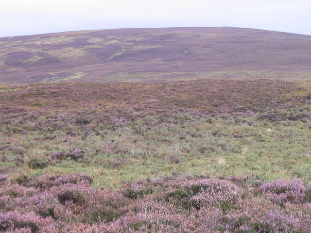 File:Heather moorland - geograph.org.uk - 559978.jpg