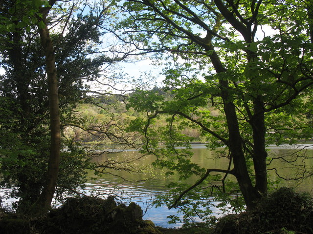 Llyn Padarn from Lon Las Peris - geograph.org.uk - 1276508