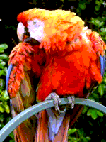 MSX2 Screen8 palette sample image.png