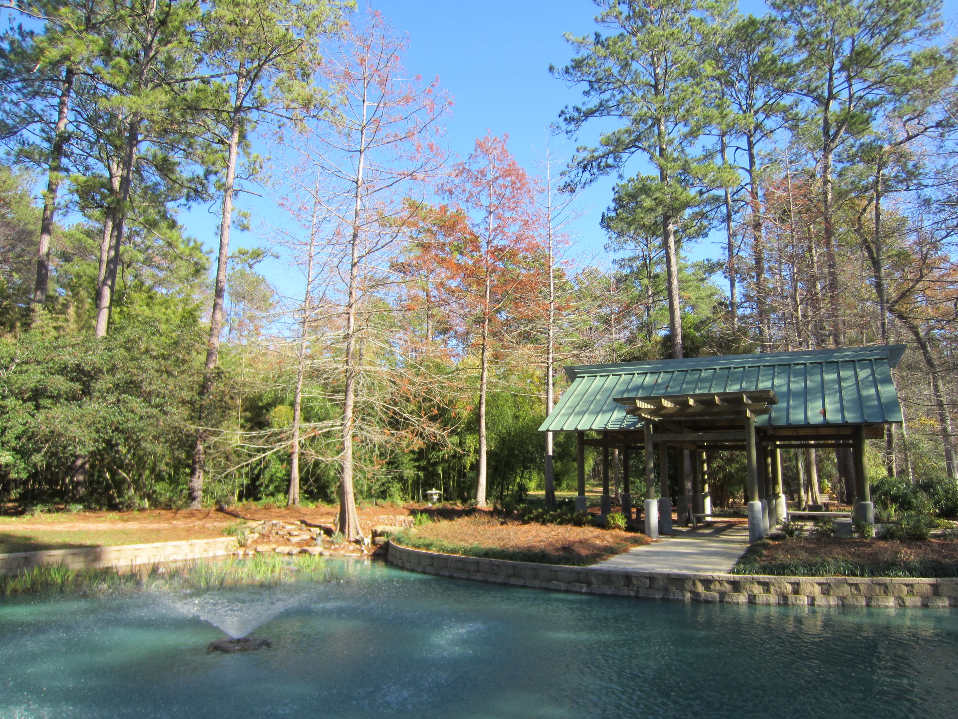 File Mercer Arboretum 2012 Storey Lake And Trees Jpg Wikimedia