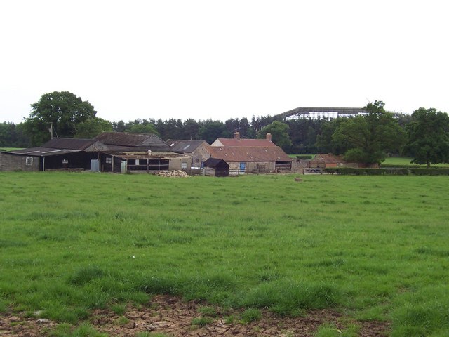 File:New Zealand Farm - geograph.org.uk - 185993.jpg