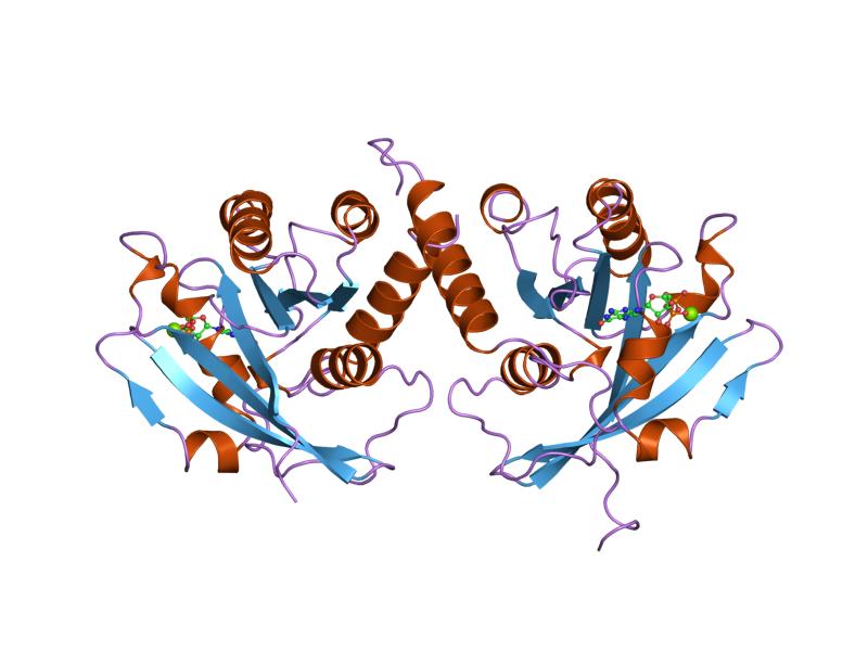 File:PDB 1qg4 EBI.jpg