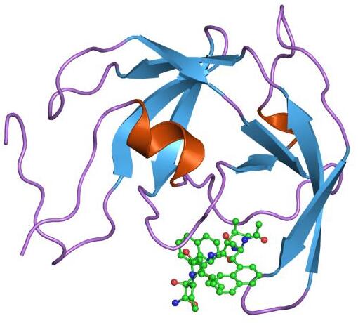 File:PDB 4fiv EBI.jpg